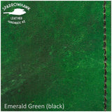 FAA (US) Pilot PPL Logbook Cover & License Medical Certificate Wallet Combo - wings & initials