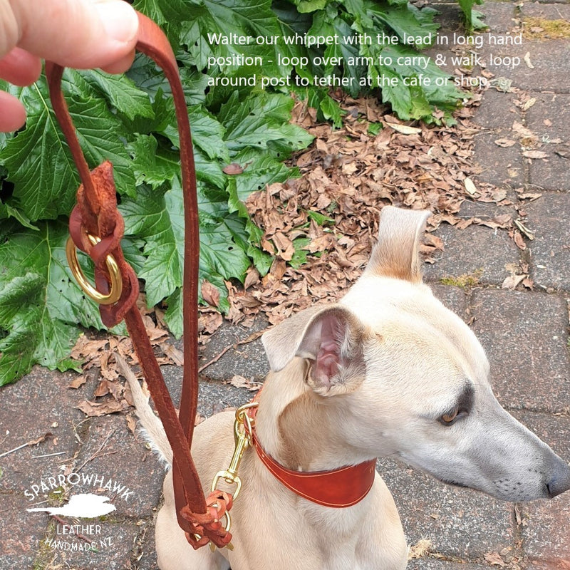 Braided Double Ended Walk Tether Dog Lead - Handmade Leather & Solid Brass